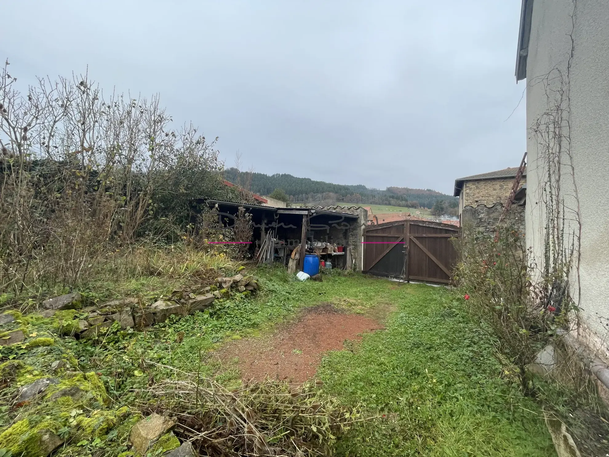 Maison de village à rénover avec jardin à Cublize 