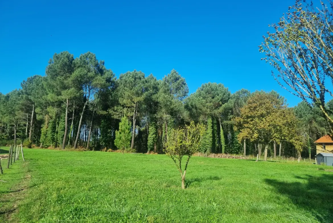 Maison Traditionnelle de 4 Chambres à Bazas sur Terrain de 7412 m² 