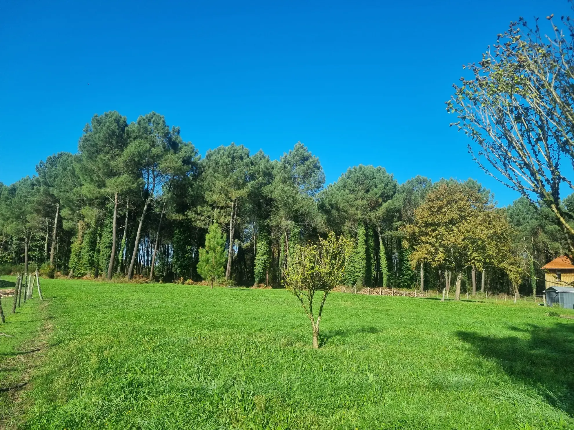 Maison Traditionnelle de 4 Chambres à Bazas sur Terrain de 7412 m² 