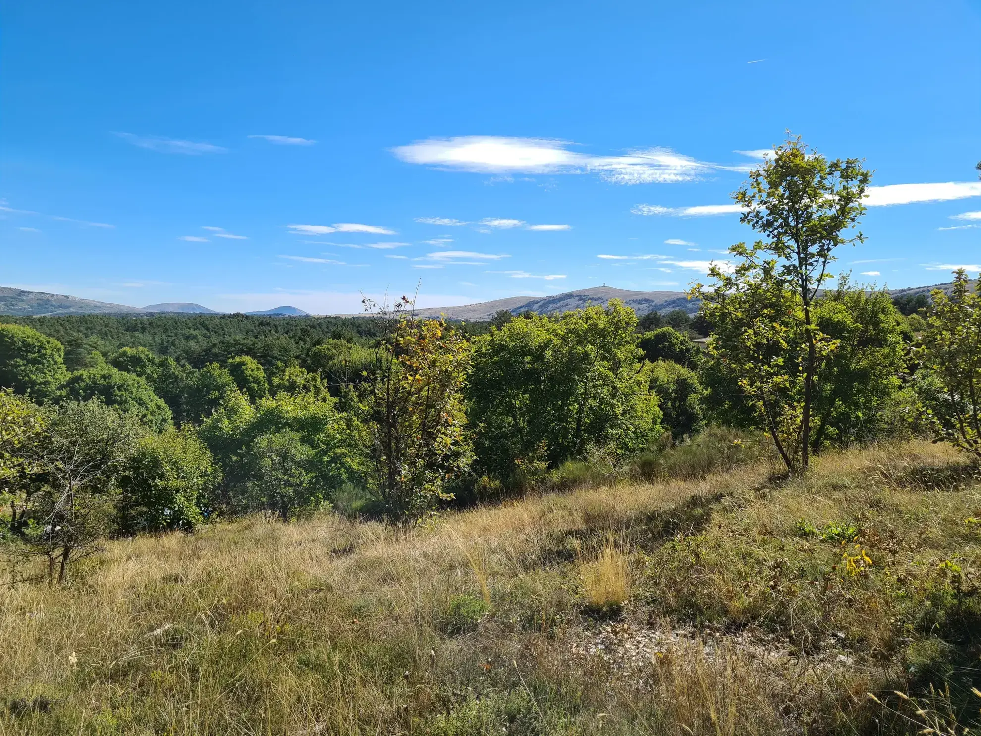 Terrain Constructible 2000 m2 à Caussols avec Vue Dominante 