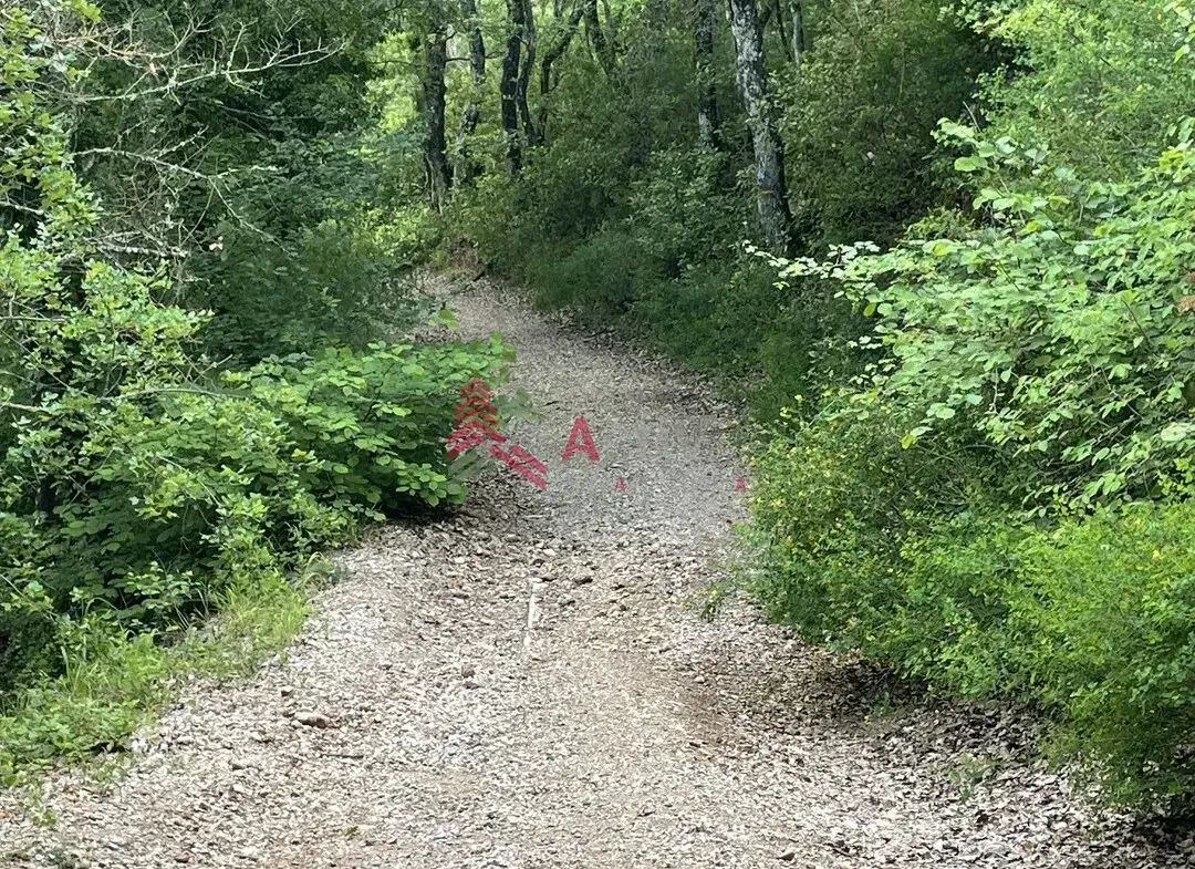 Très beau terrain à bâtir de 2813 m² à Esparron 