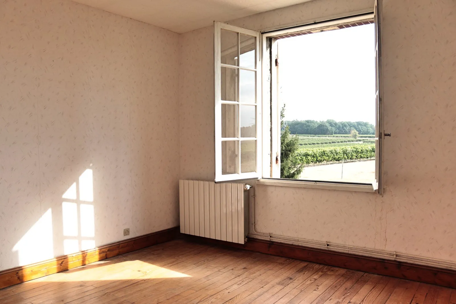 Ancienne Ferme Viticole à Caplong avec Vue Dégagée 