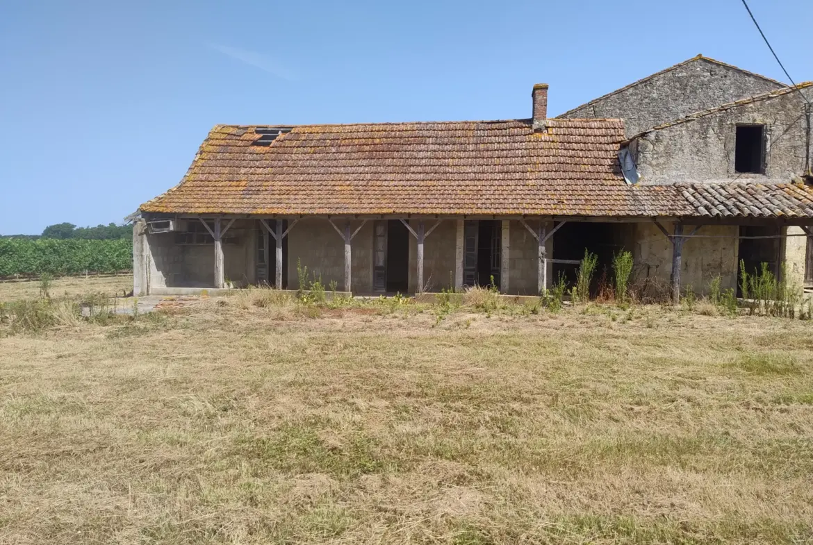 À vendre : Ancienne Ferme Viticole à Caplong avec Dépendances 