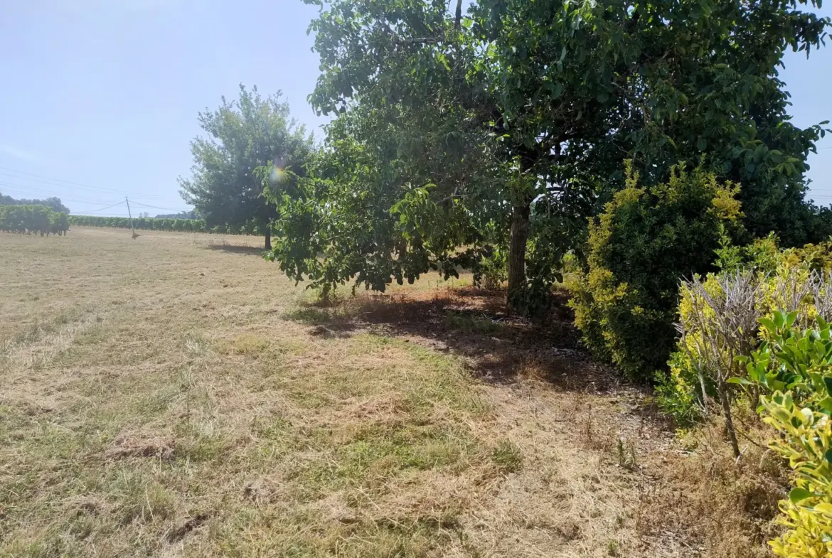 À vendre : Ancienne Ferme Viticole à Caplong avec Dépendances 