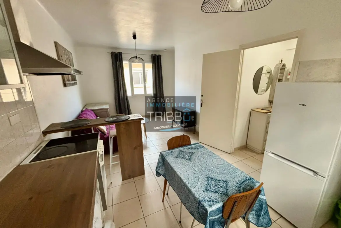 Maison à Amélie-les-Bains - Division en 4 Appartements 