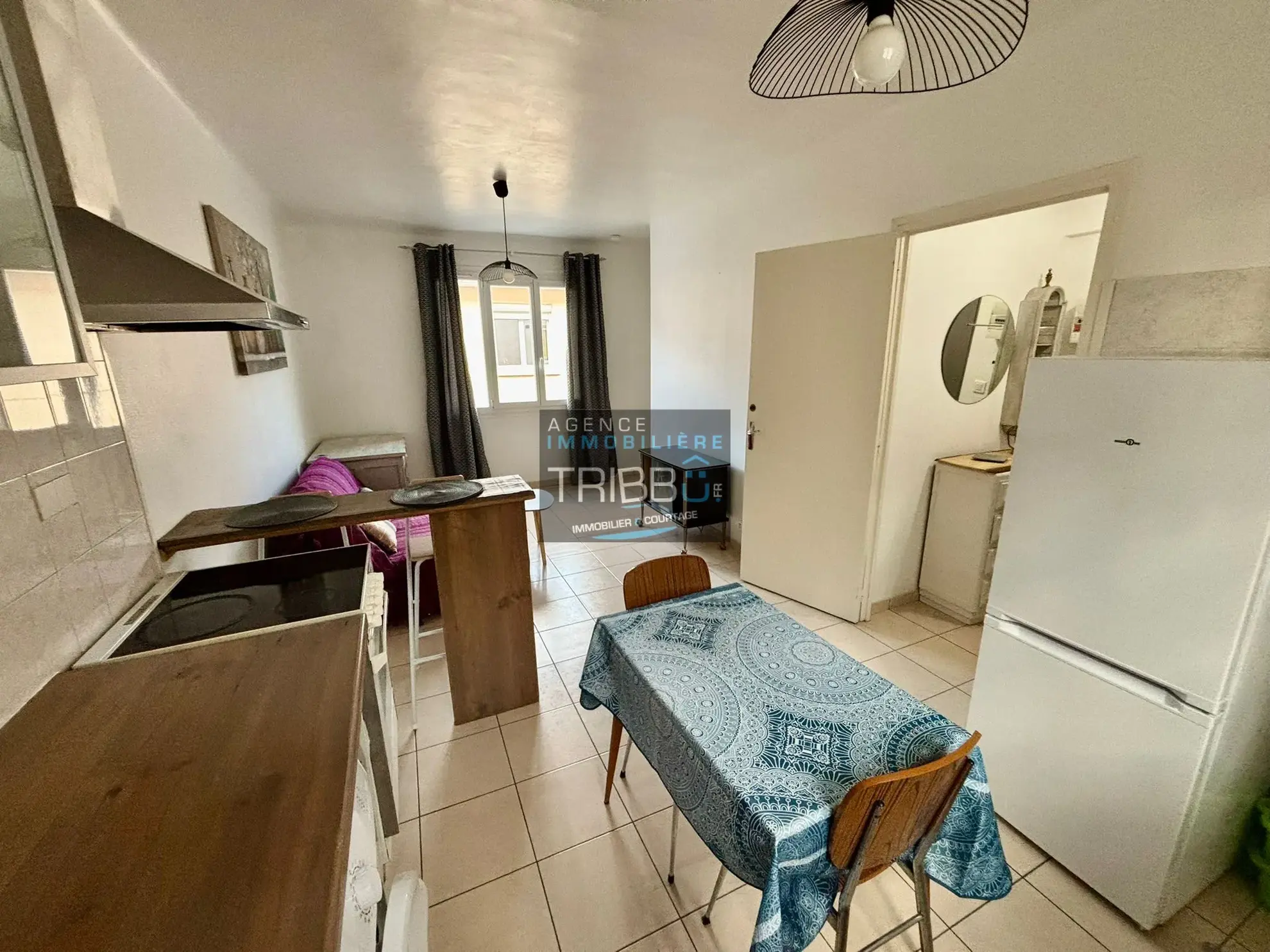 Maison à Amélie-les-Bains - Division en 4 Appartements 