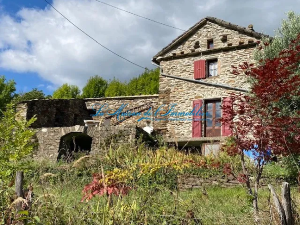 Charmante Maison Cévenole à St Frezal de Ventalon avec Terrain de 31 000 m²