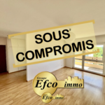 À vendre : Appartement T2 lumineux à Saint-Louis