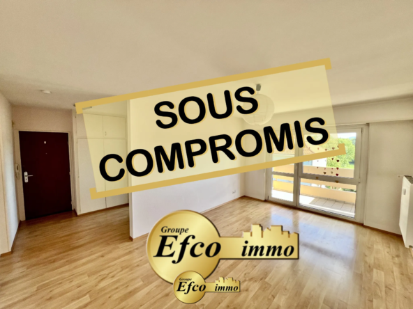 À vendre : Appartement T2 lumineux à Saint-Louis