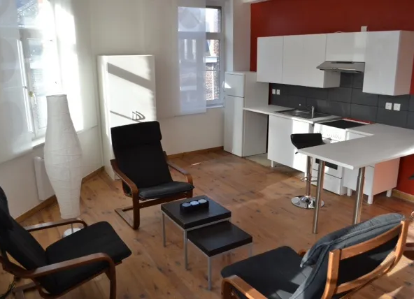 Appartement lumineux à vendre à Lille Sud – Idéal investissement