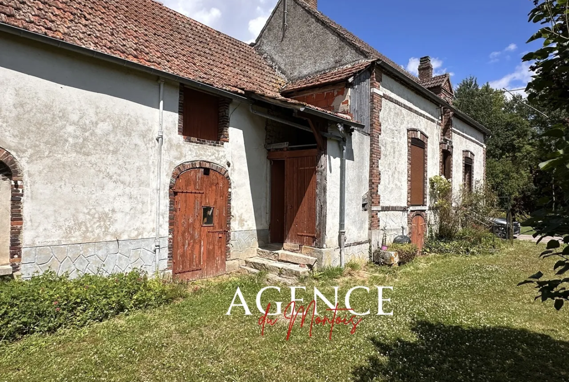 Maison de campagne à vendre à Nogent sur Seine, 881 m² de jardin 