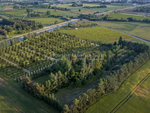 Terrain de loisir de 100 m² à Mudaison avec jardin partagé