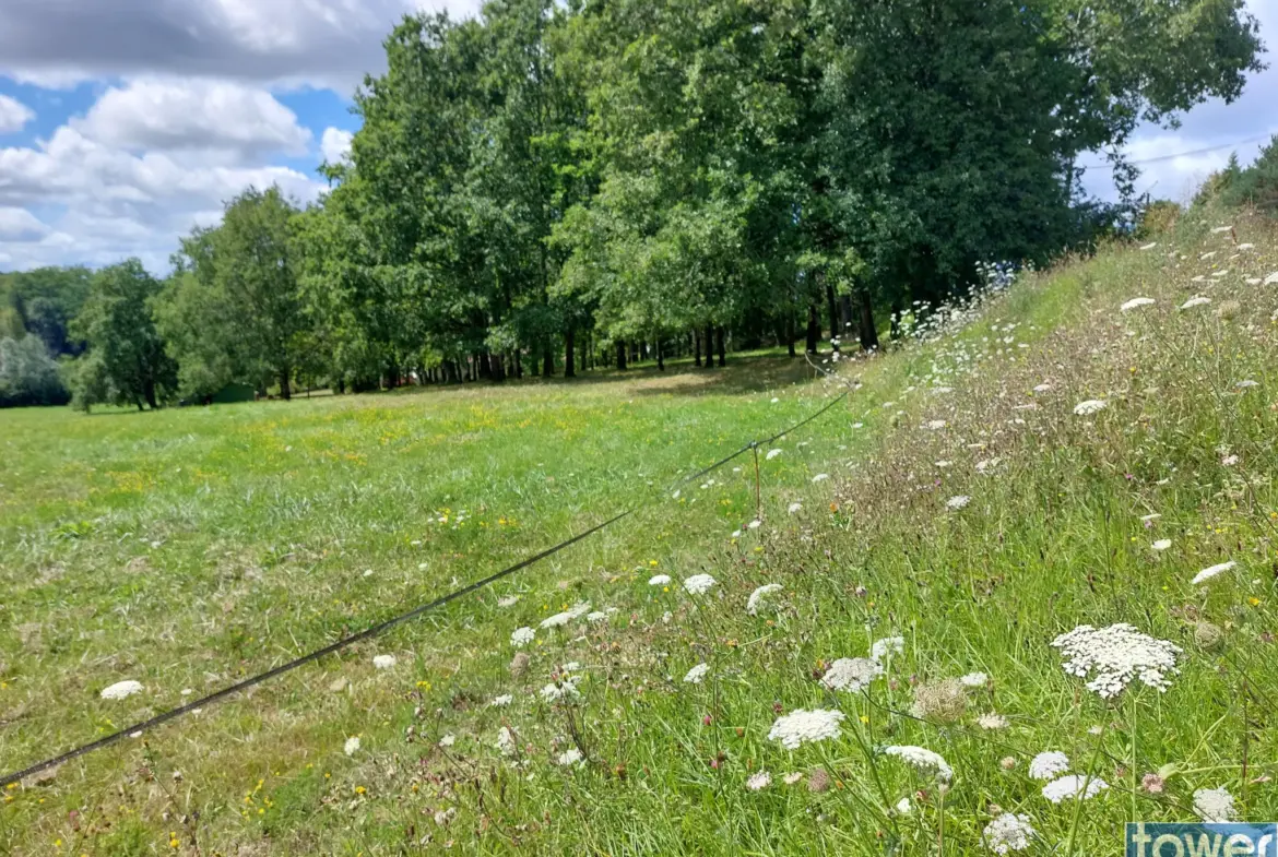 Terrain constructible à Saint Pardoux la Rivière - 2 200 m² à vendre 