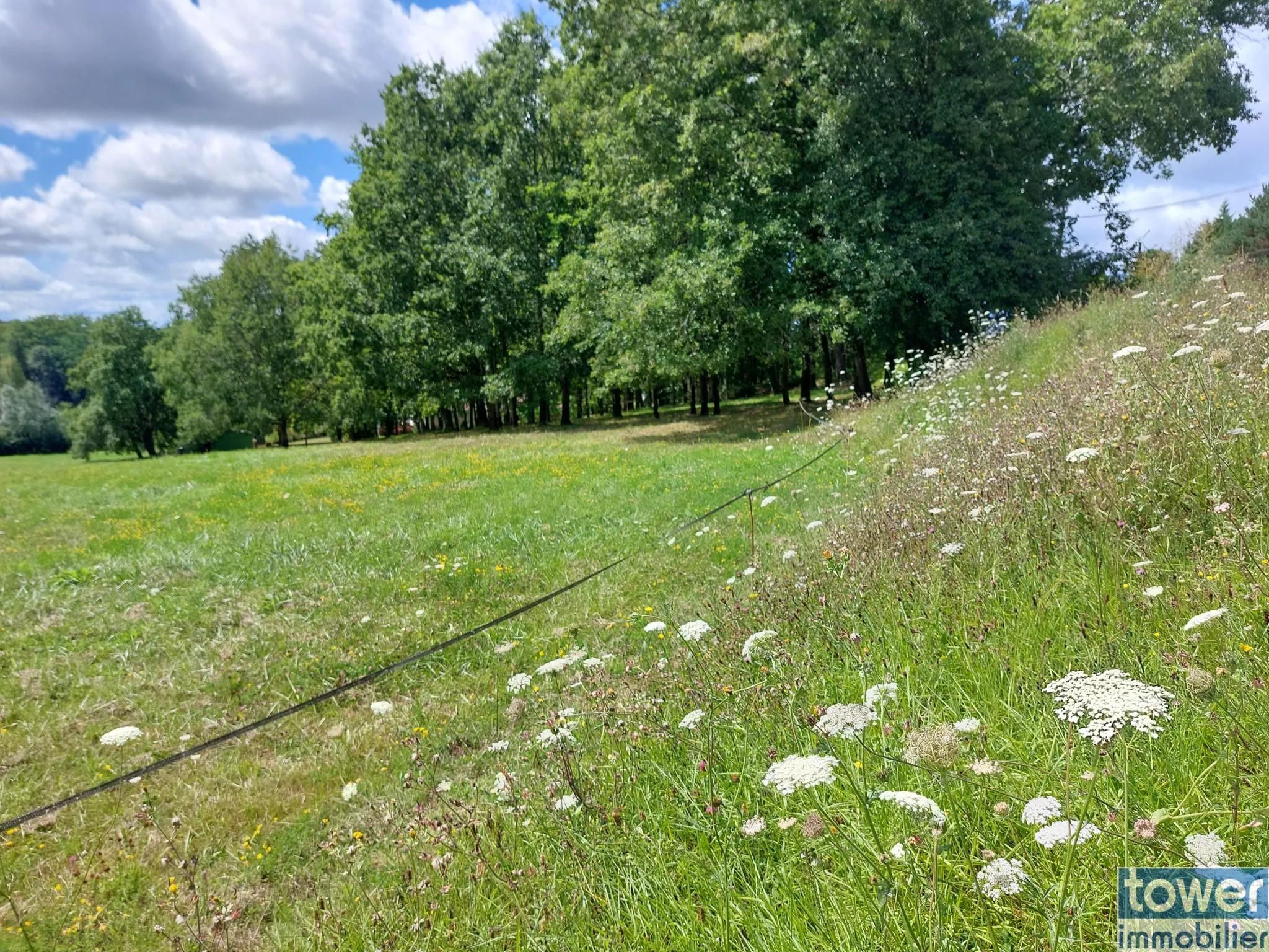 Terrain constructible à Saint Pardoux la Rivière - 2 200 m² à vendre 