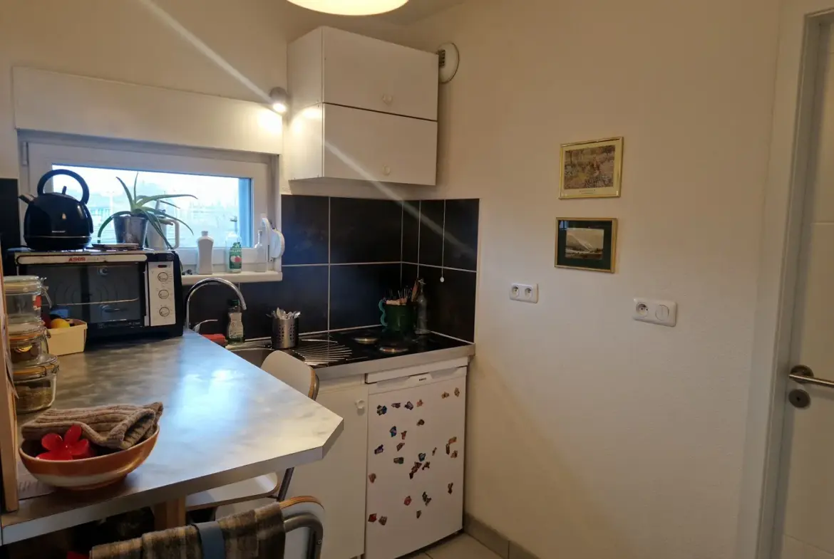 À vendre : Studio lumineux avec terrasse à Strasbourg 