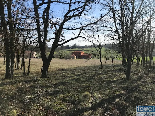 Terrain constructible de 5000 m² à La Capelle Balaguier 