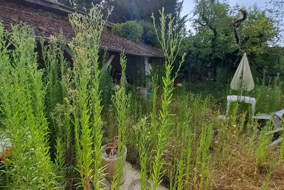 Maison de village à rénover dans le Gers 