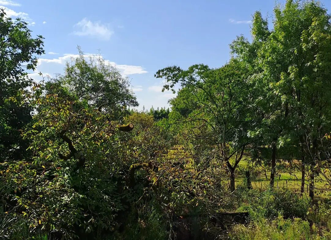 Maison de village à rénover dans le Gers 