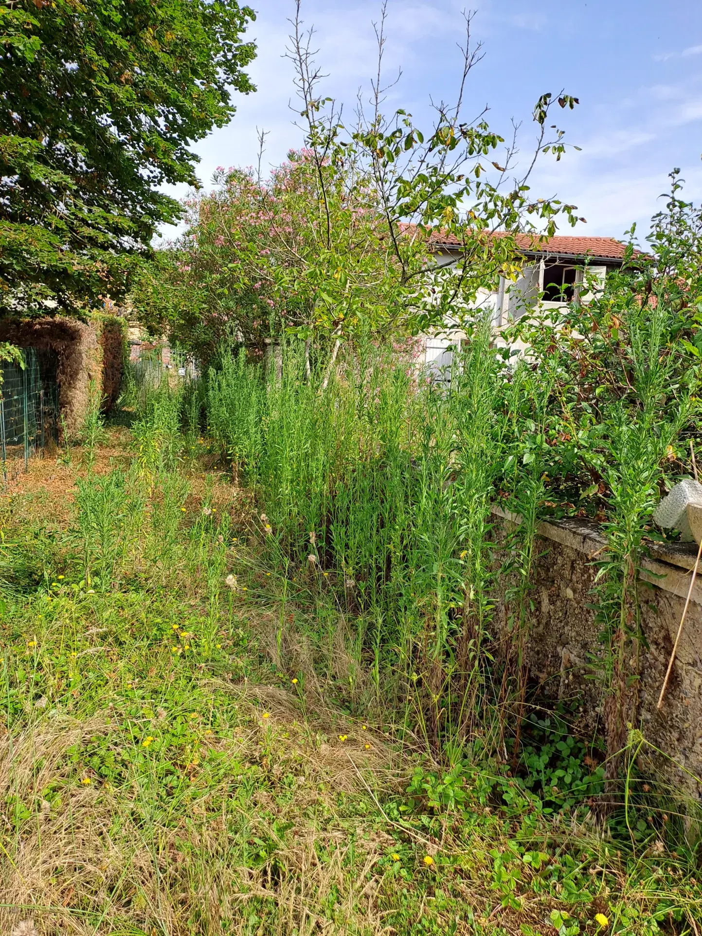 Maison de village à rénover dans le Gers 