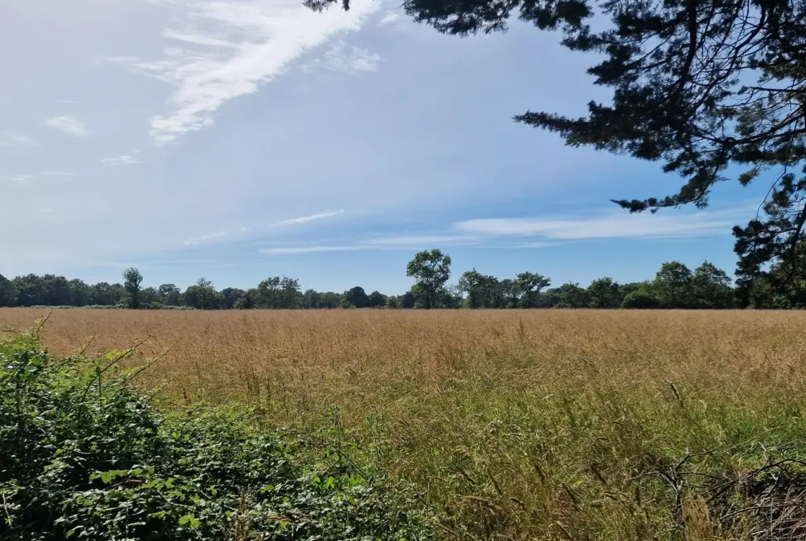 Propriété avec bâtiments sur 1 hectare à Chateauneuf 