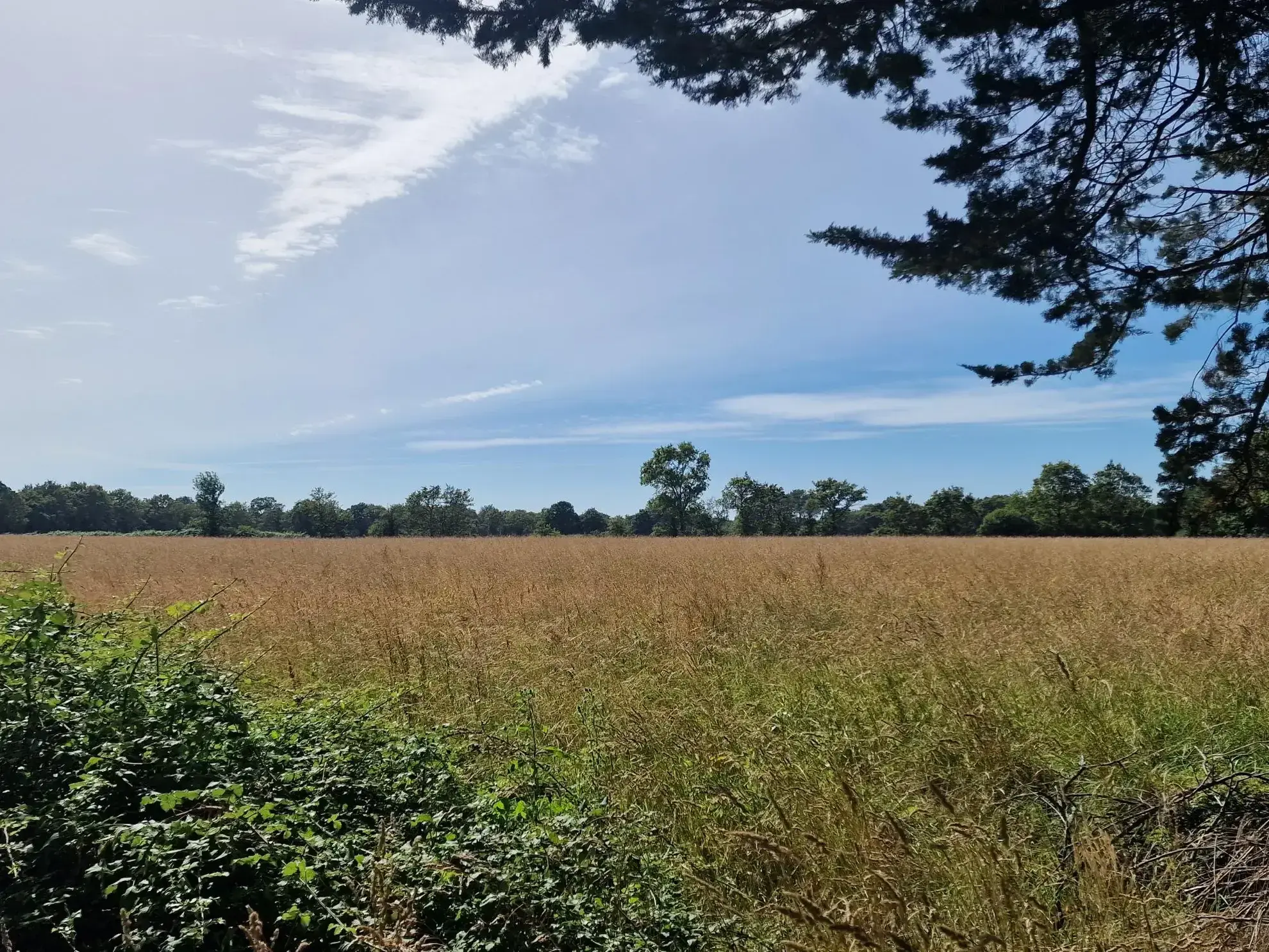 Propriété avec bâtiments sur 1 hectare à Chateauneuf 