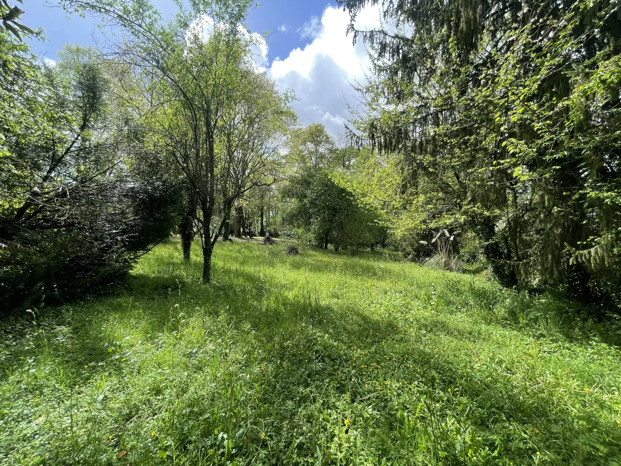 Maison spacieuse 6 pièces avec terrain à Artigueloutan à vendre 