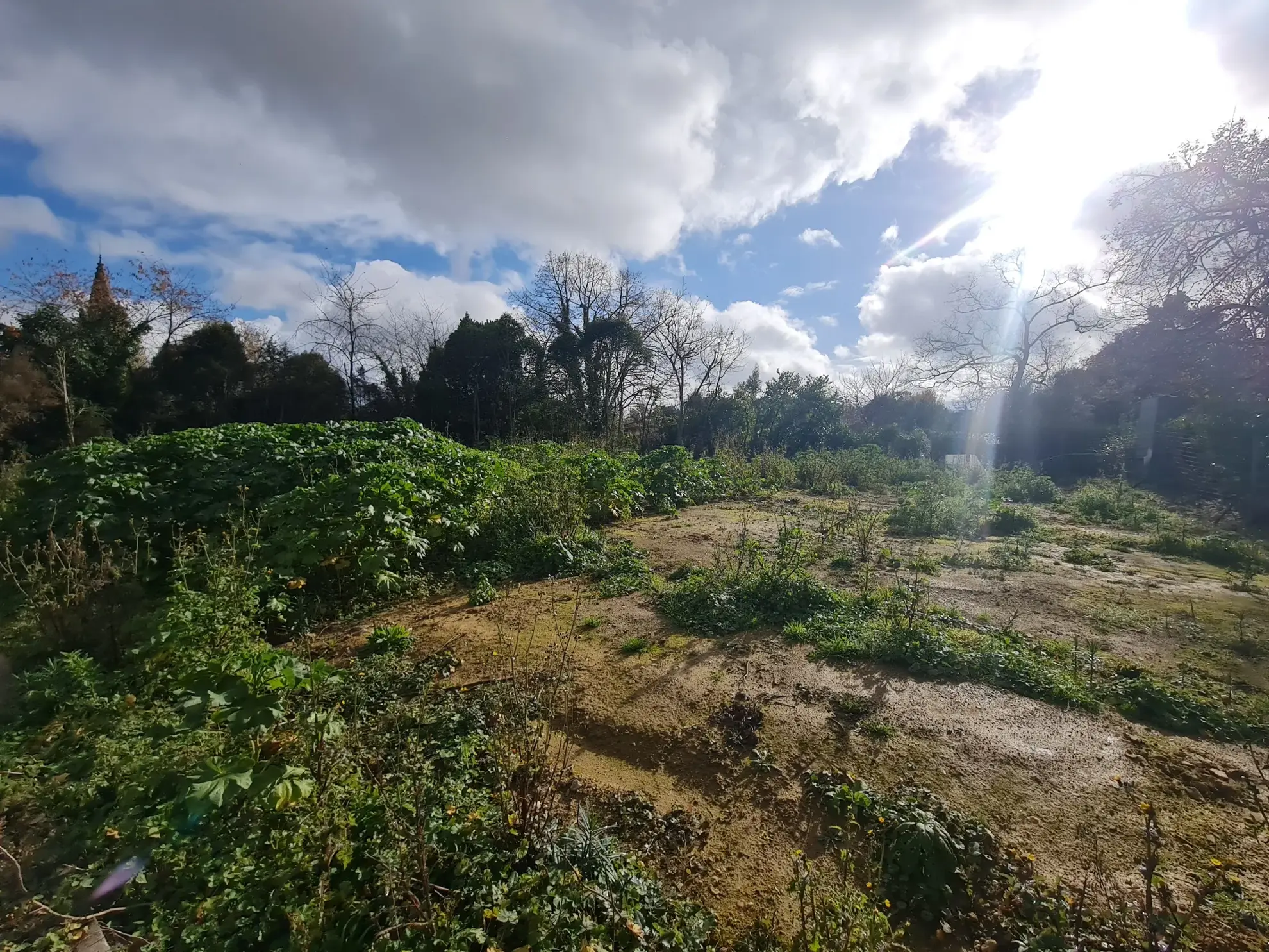 Terrain constructible de 1487 m2 à Saint Sulpice-sur-Lèze 