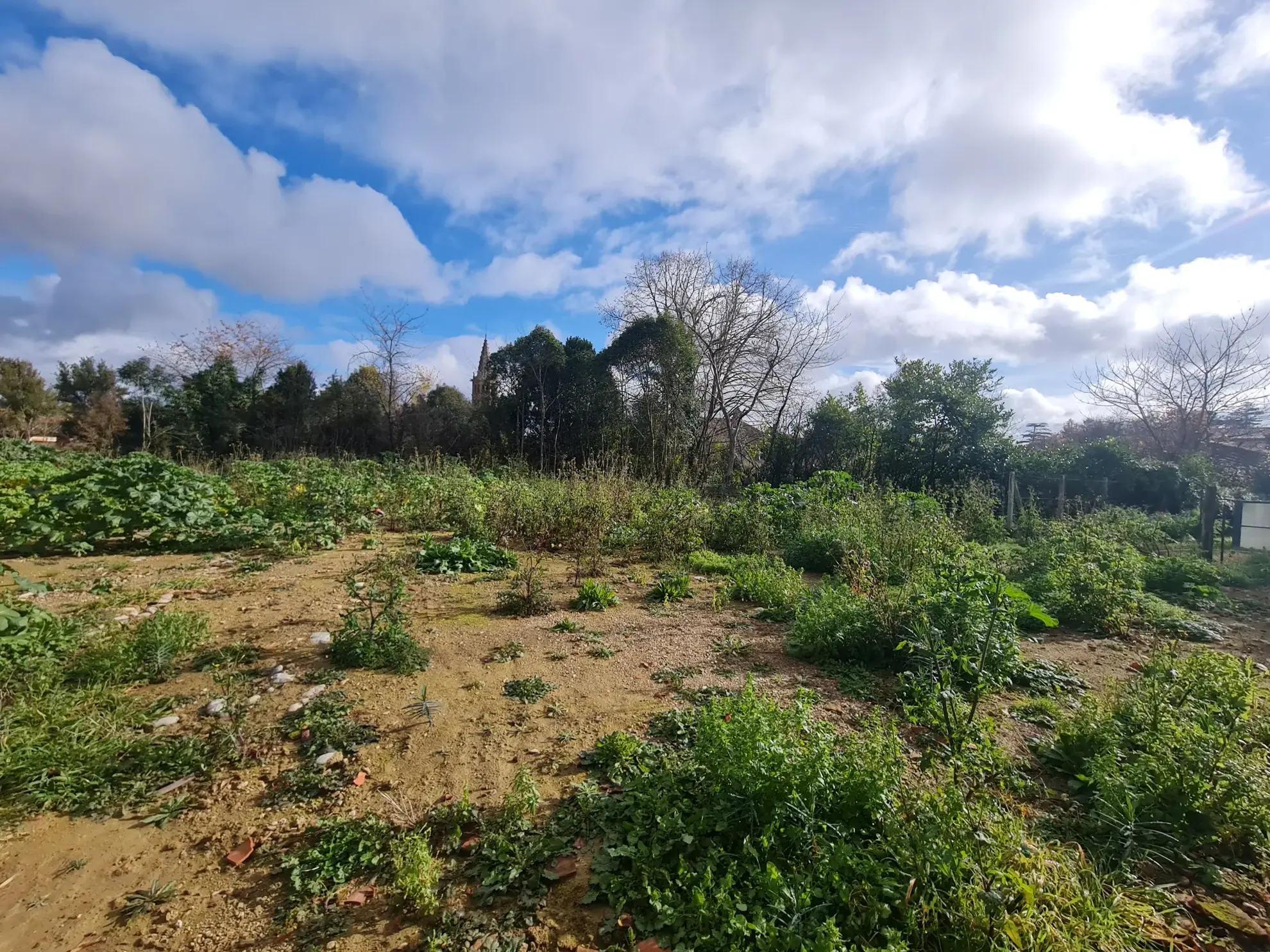 Terrain constructible de 1487 m2 à Saint Sulpice-sur-Lèze 