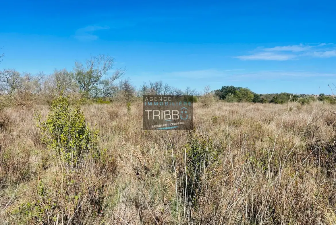 Terrain Agricole de 7180 m² à Fourques avec Vue sur les Pyrénées-Orientales 