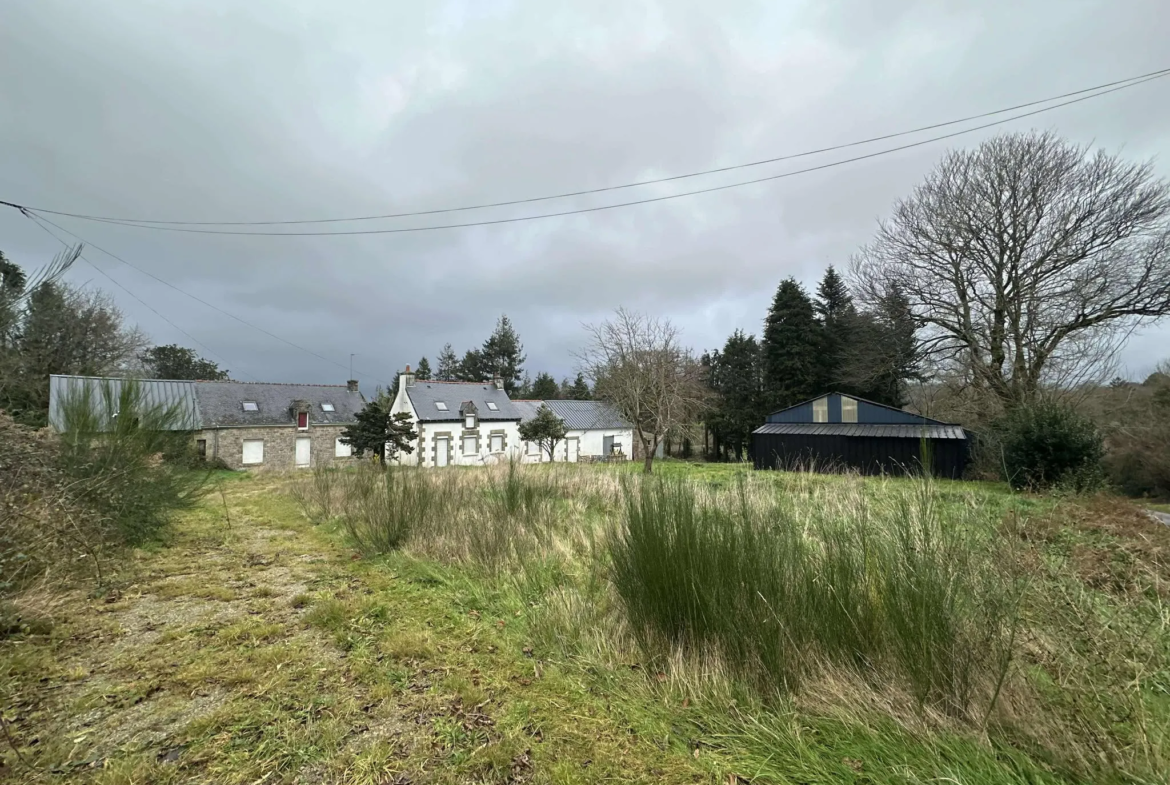 Maison de village rénovée à Guenin, proche de Baud 