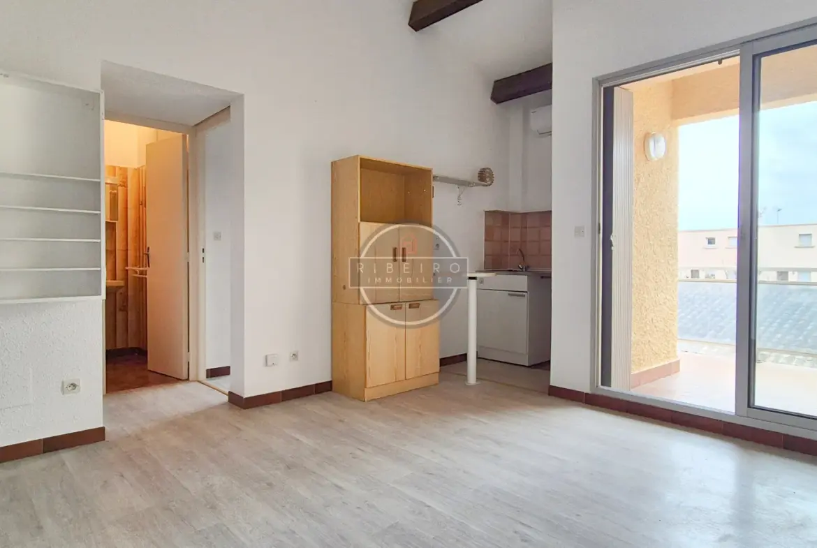 Appartement de type T2 à vendre au Grau d'Agde - Vue dégagée et terrasse 