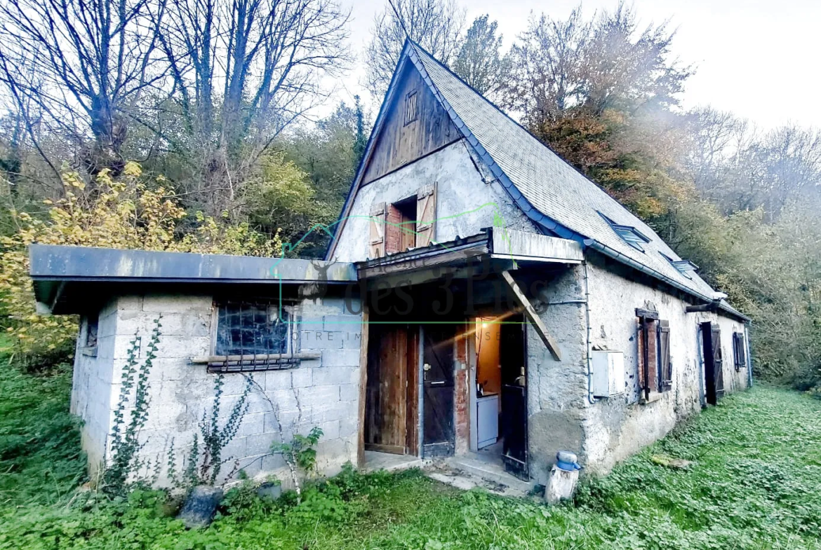 Maison de montagne T4 à vendre à Bonac Irazein 