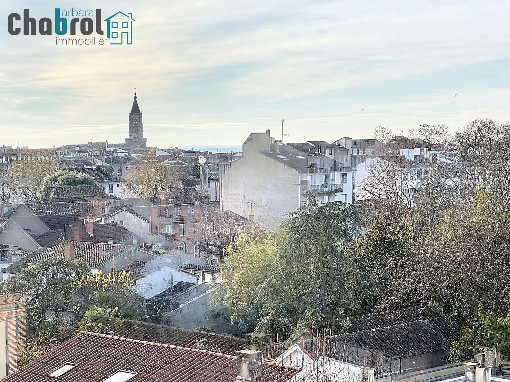 Bel appartement T3 avec vue à Montauban 