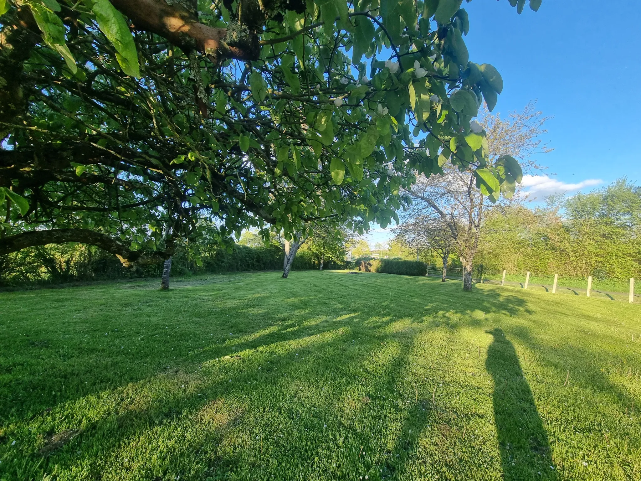 Longère à vendre secteur Mêle-sur-Sarthe avec jardin 