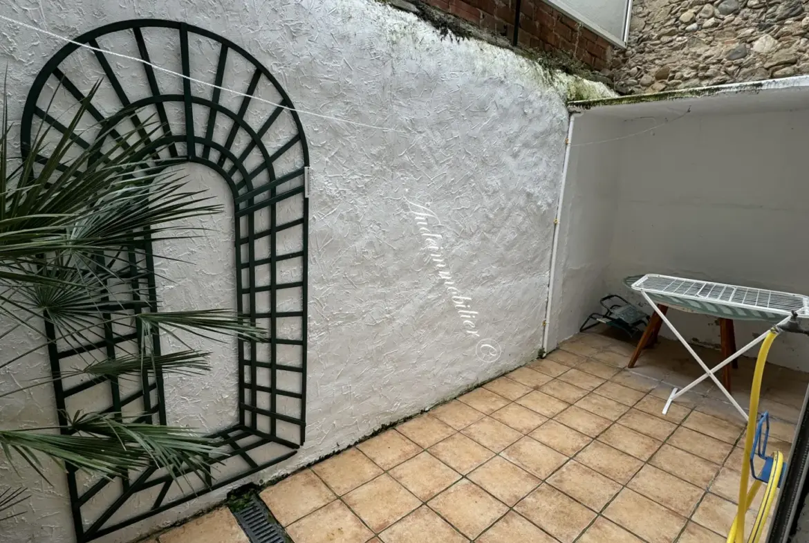 Maison de ville avec terrasse à Limoux 