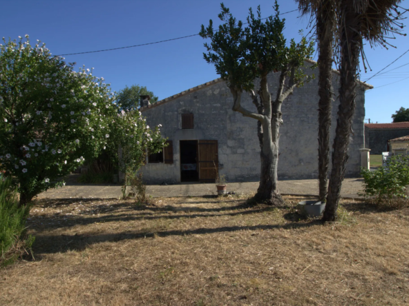 Ensemble immobilier avec trois maisons et jardin à Nieul les Stes