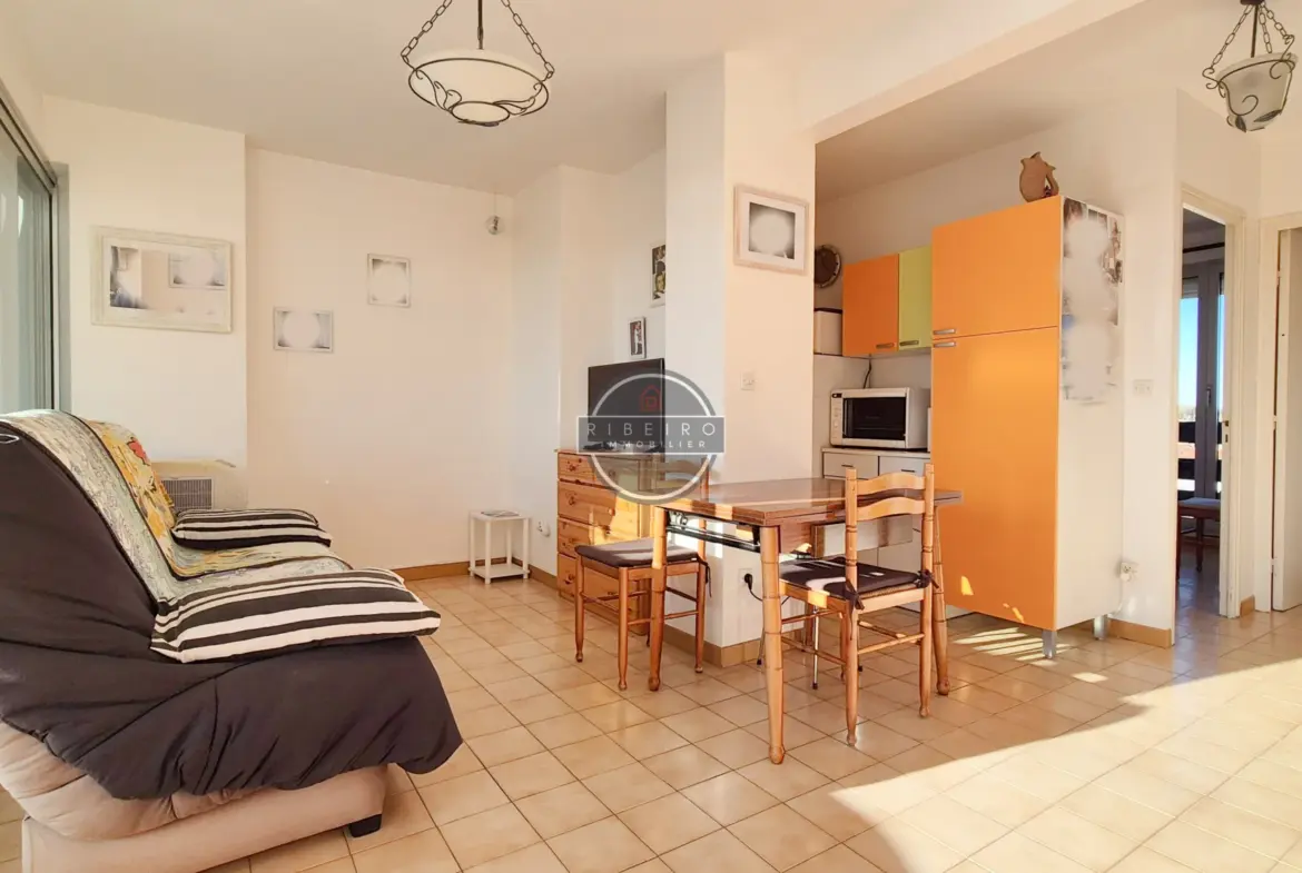 À vendre : Appartement 2 pièces avec terrasse au Grau d'Agde 