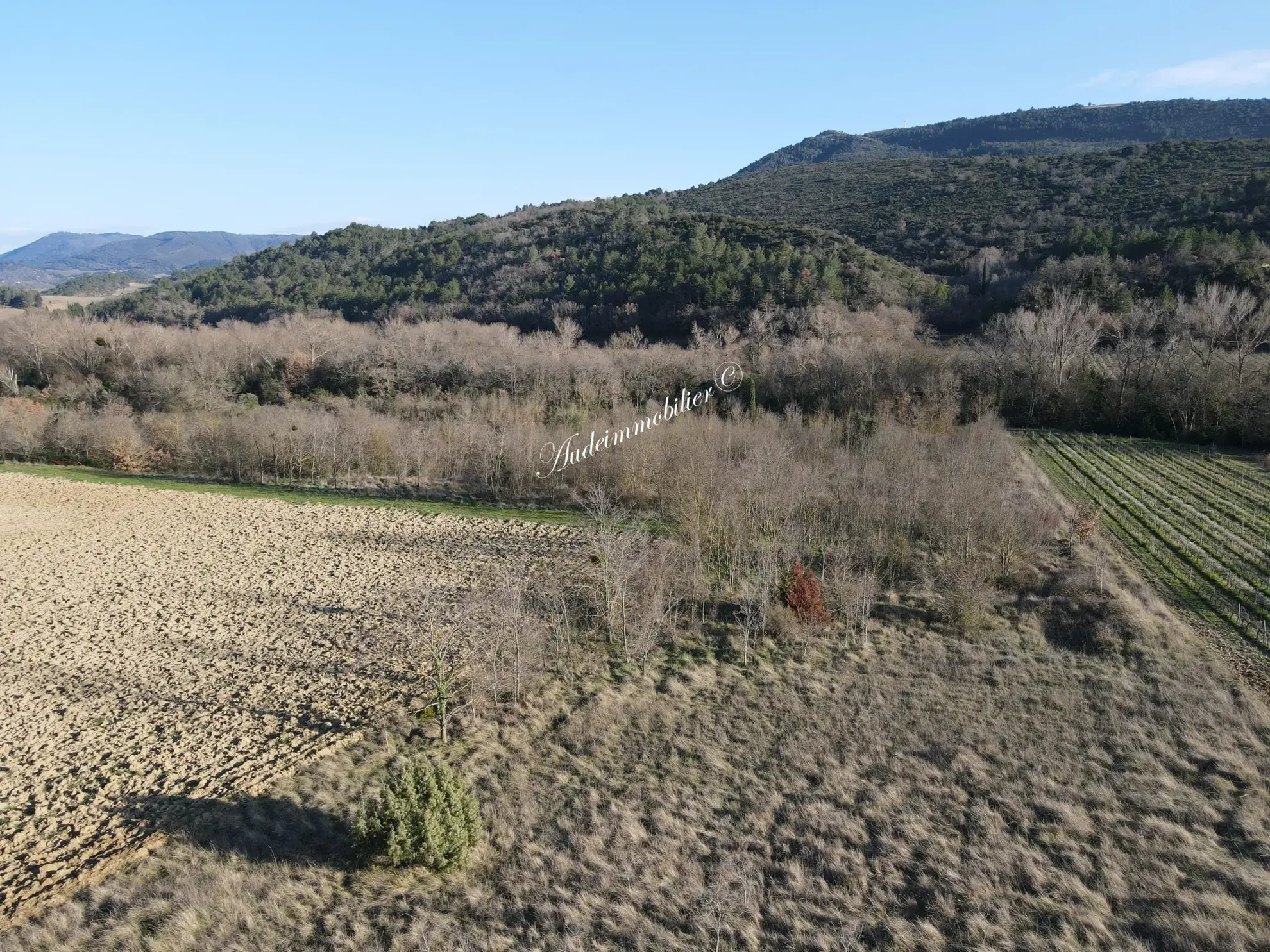 Vente de terrain agricole de 1ha près de Limoux 