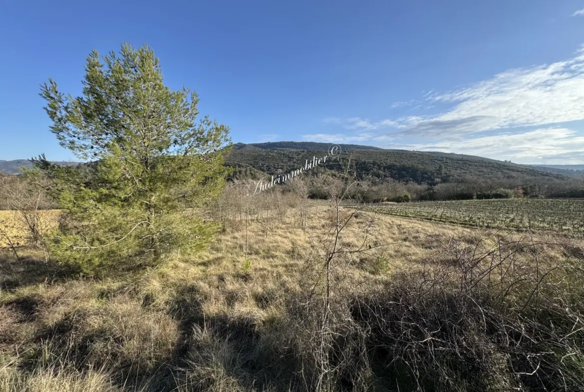 Vente de terrain agricole de 1ha près de Limoux 