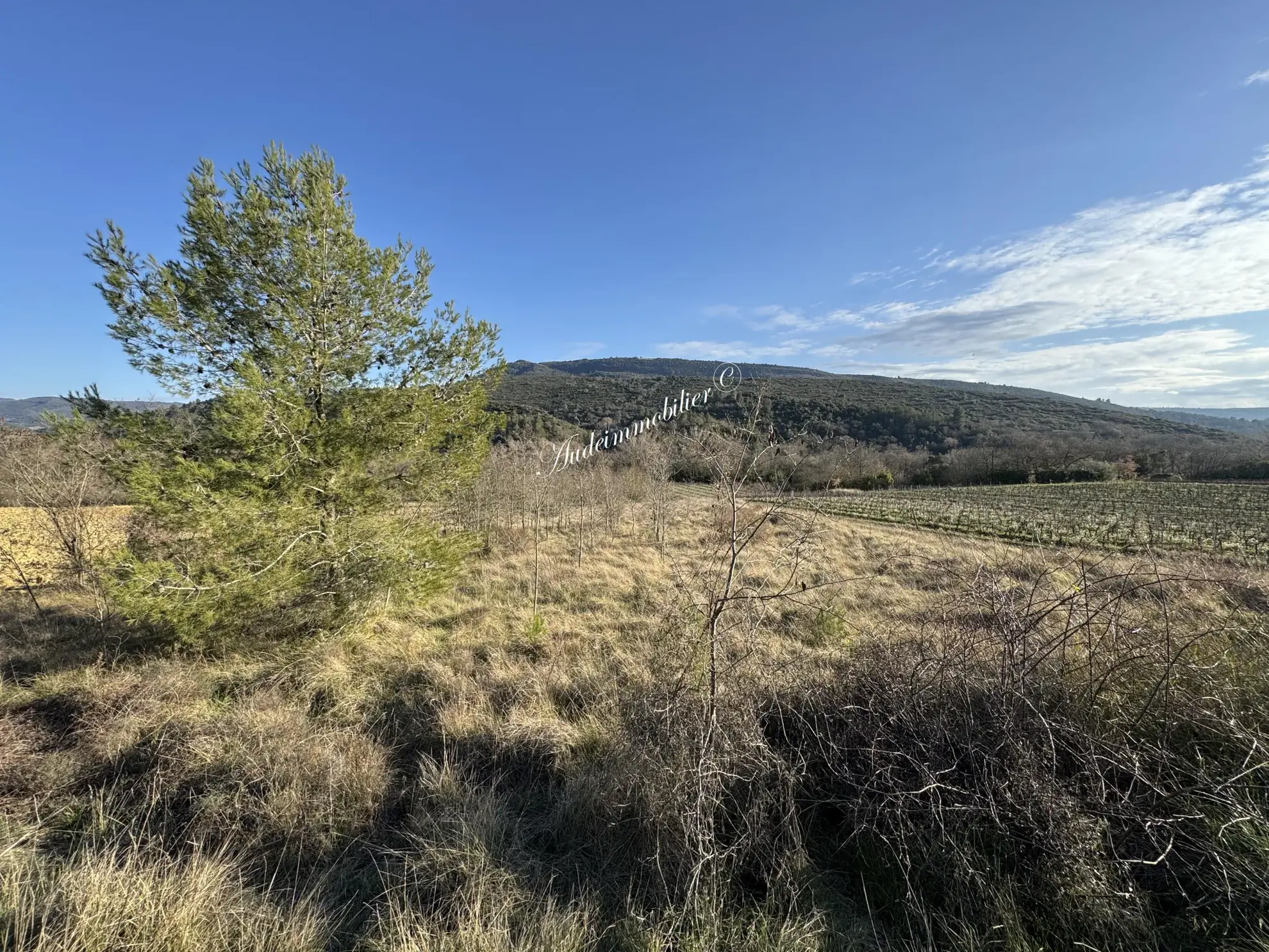 Vente de terrain agricole de 1ha près de Limoux 