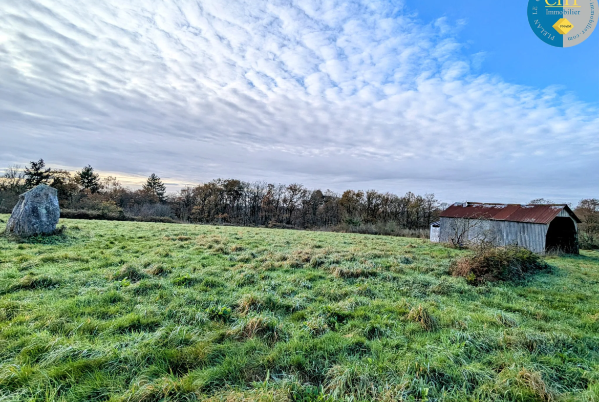 Terrain à bâtir hors lotissement à Monteneuf - 15 100 € 