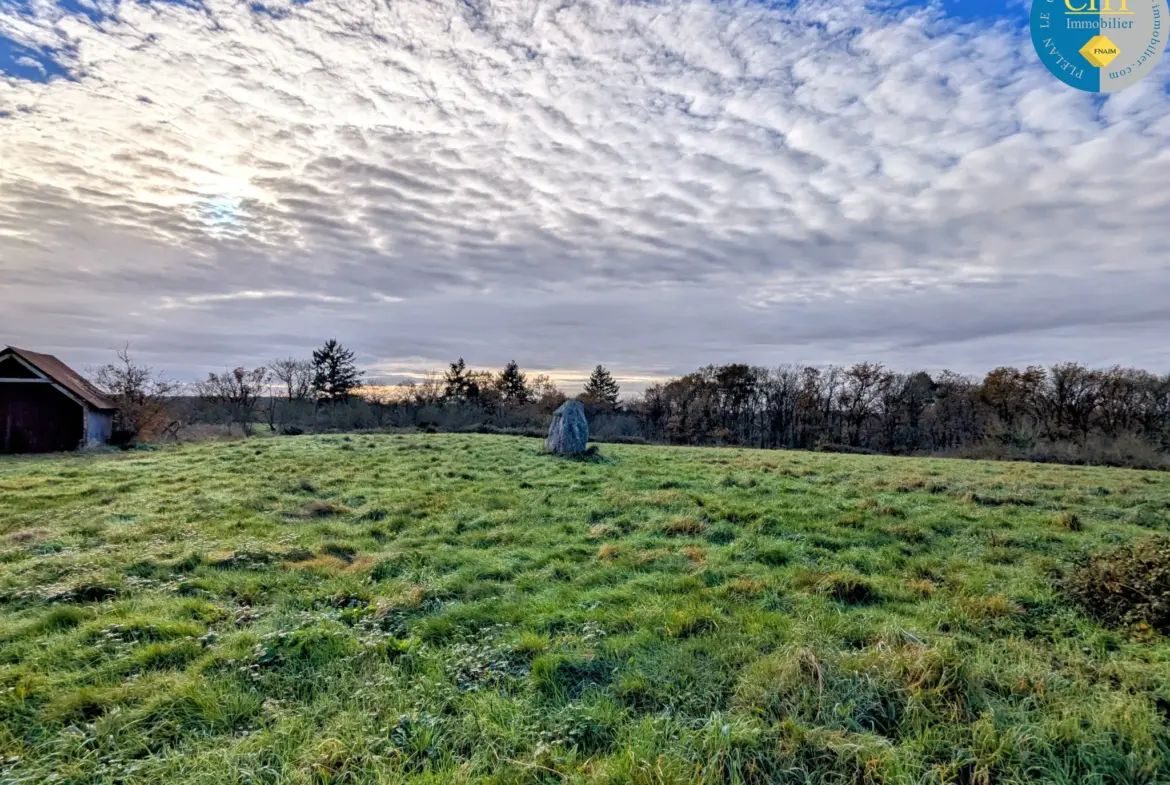 Terrain à bâtir hors lotissement à Monteneuf - 15 100 € 