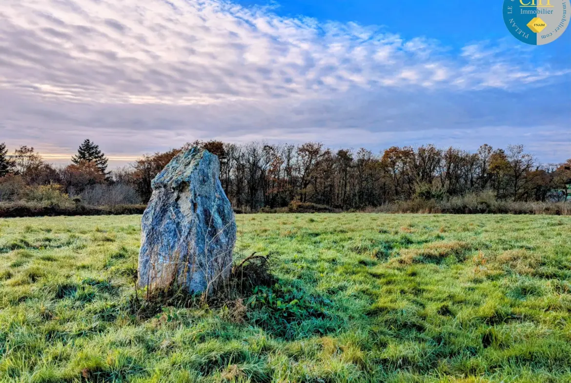 Terrain à bâtir hors lotissement à Monteneuf - 15 100 € 