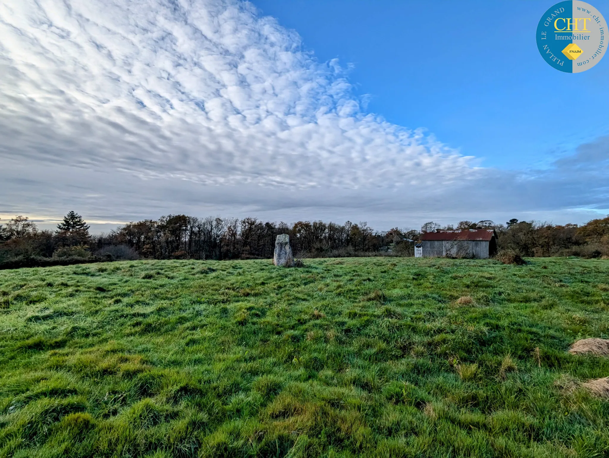 Terrain à bâtir hors lotissement à Monteneuf - 922 m² à 15 100 € 