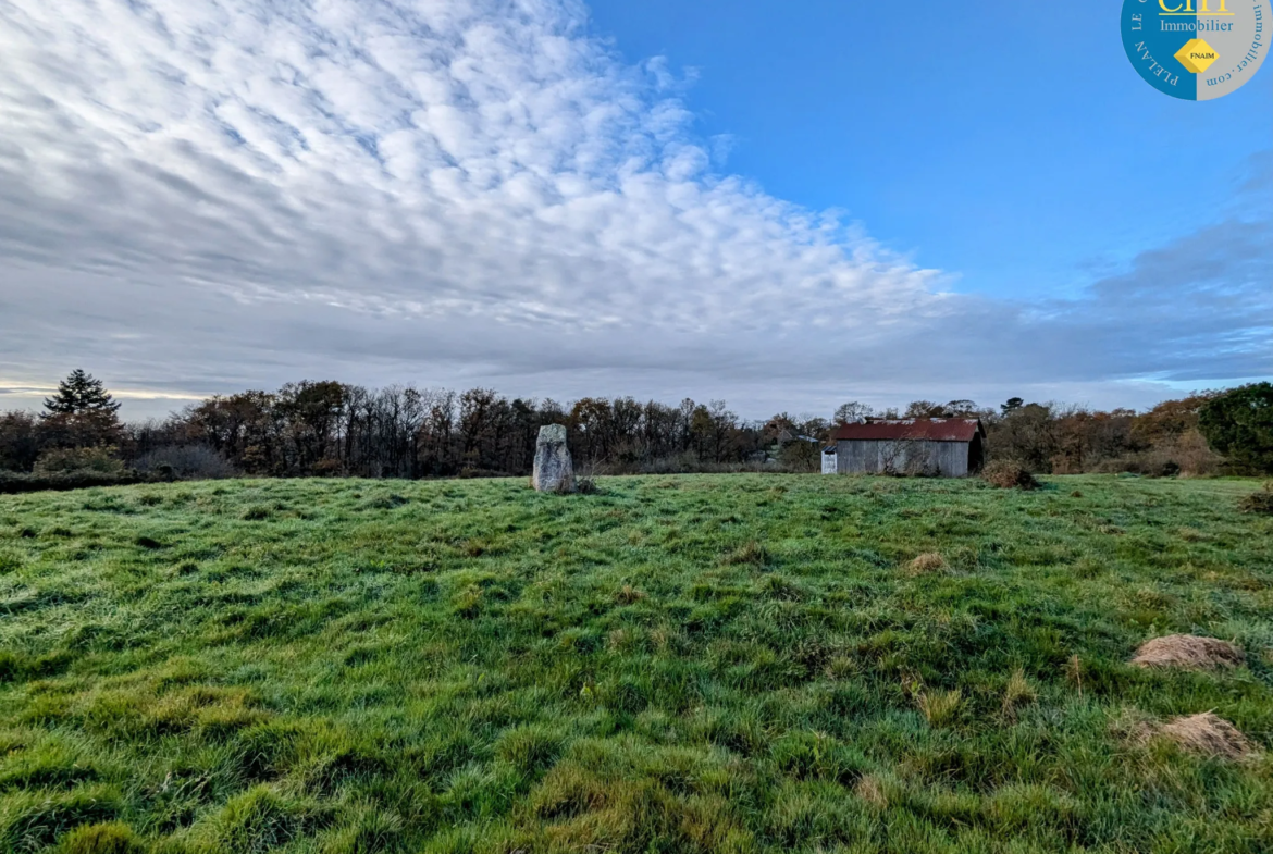 Terrain à bâtir hors lotissement à Monteneuf - 922 m² à 15 100 € 