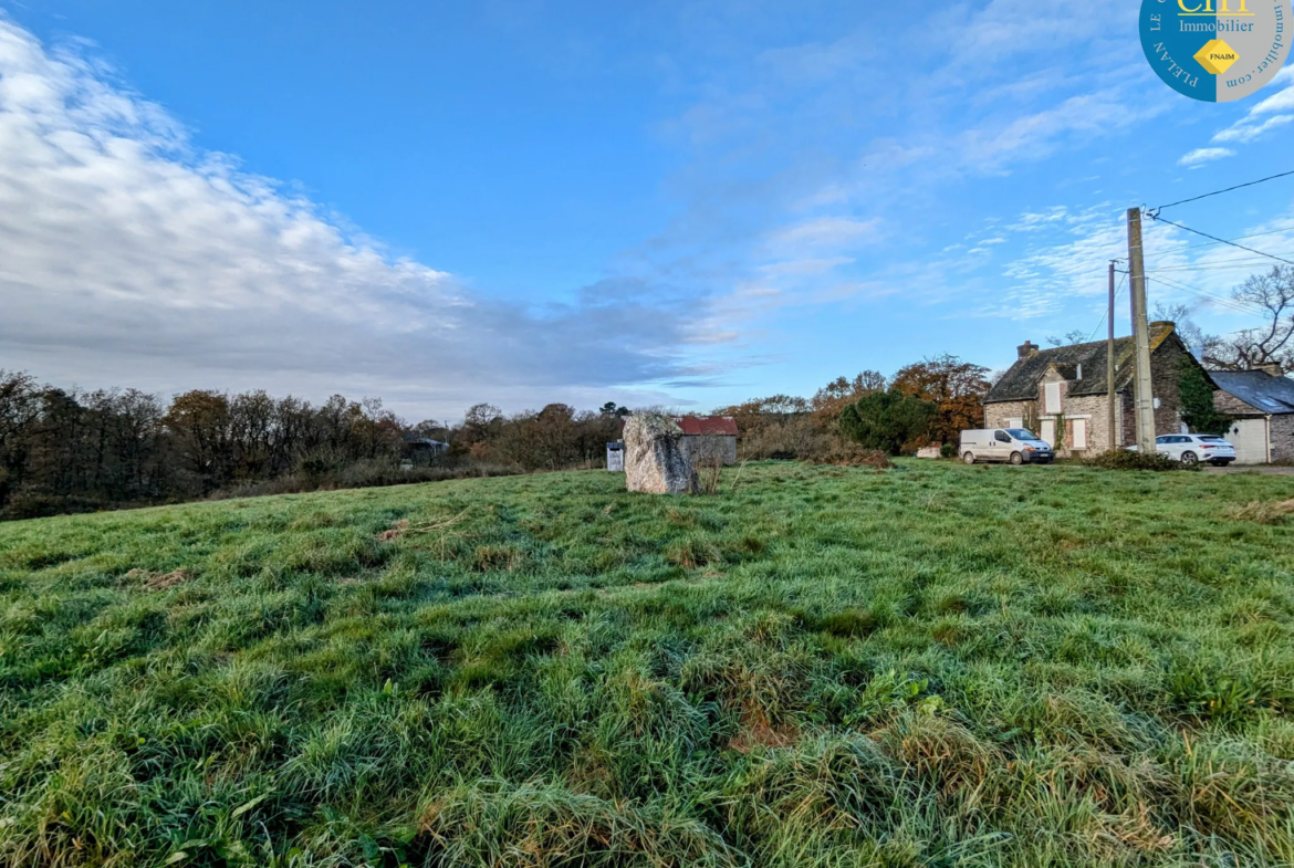 Terrain à bâtir hors lotissement à Monteneuf - 922 m² à 15 100 € 