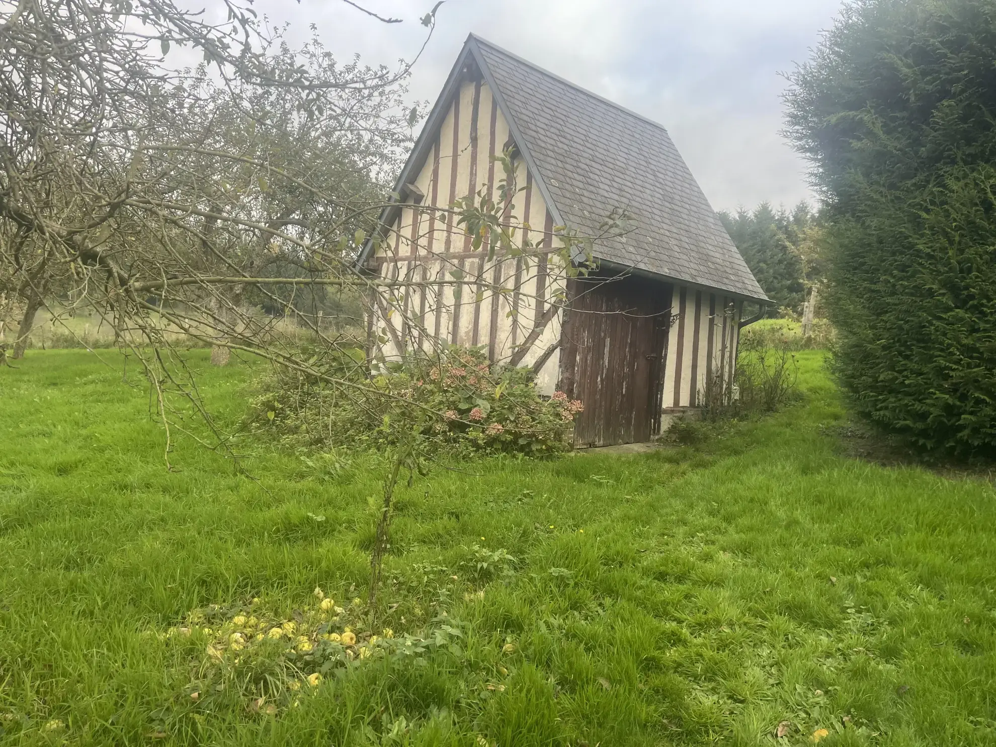 Maison au calme sur 5000 m² de terrain à Camembert 