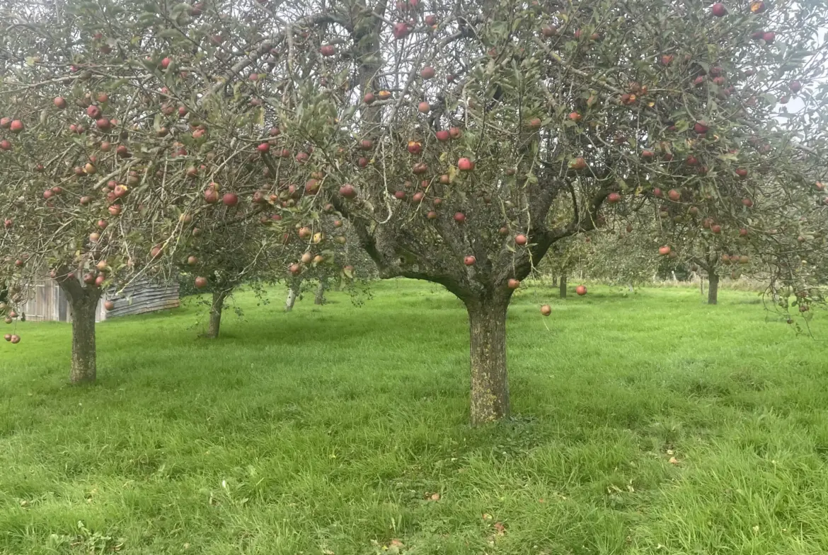 Maison au calme sur 5000 m² de terrain à Camembert 