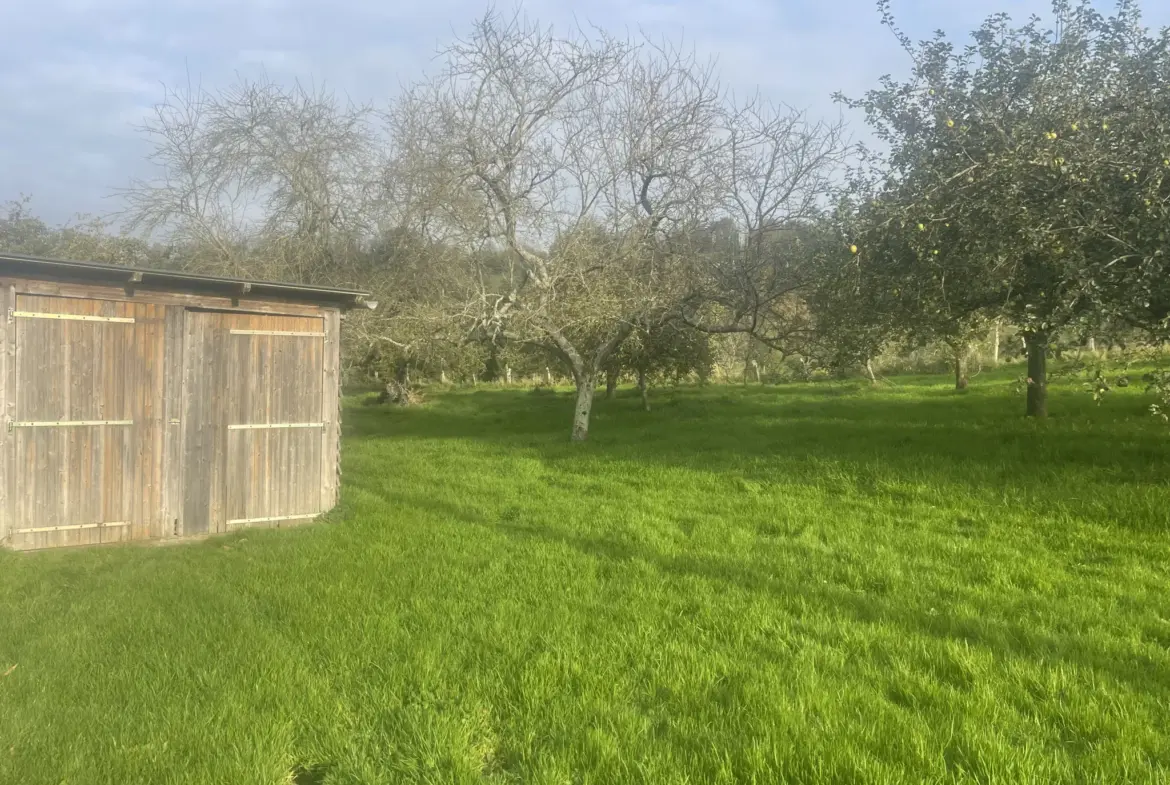 Maison au calme sur 5000 m² de terrain à Camembert 