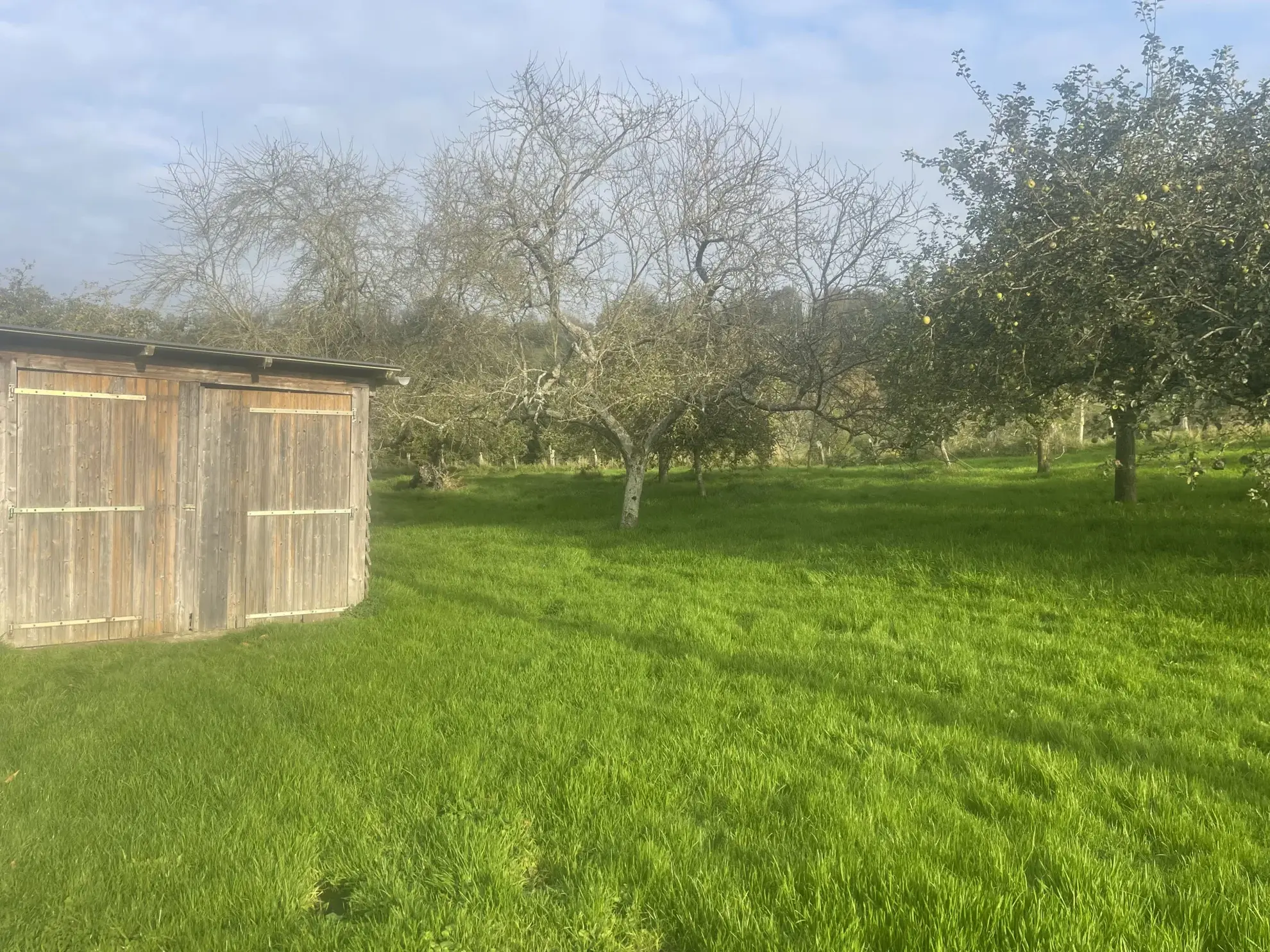 Maison au calme sur 5000 m² de terrain à Camembert 